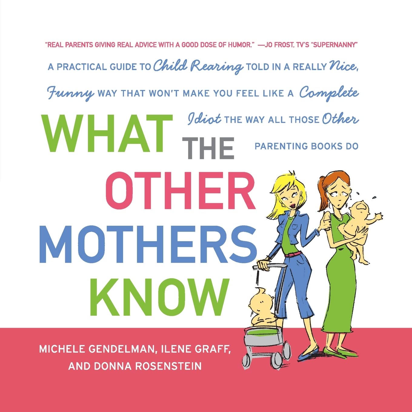 What the Other Mothers Know: A Practical Guide to Child Rearing Told in a Really Nice, Funny Way That Wont Make You Feel Like a