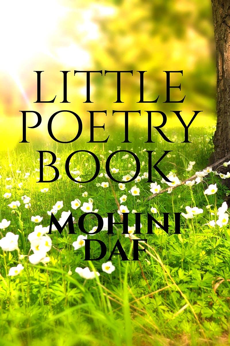 LITTLE POETRY BOOK: POEM BOOK