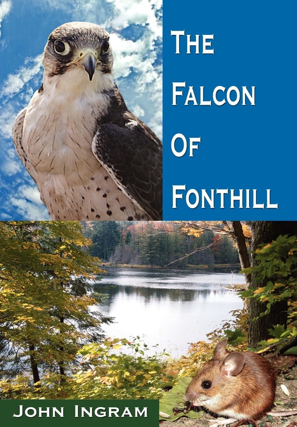 The Falcon Of Fonthill