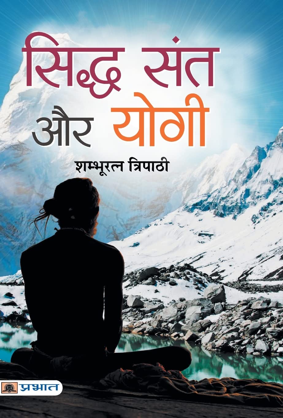 Siddha Sant Aur Yogi (Hindi Edition)