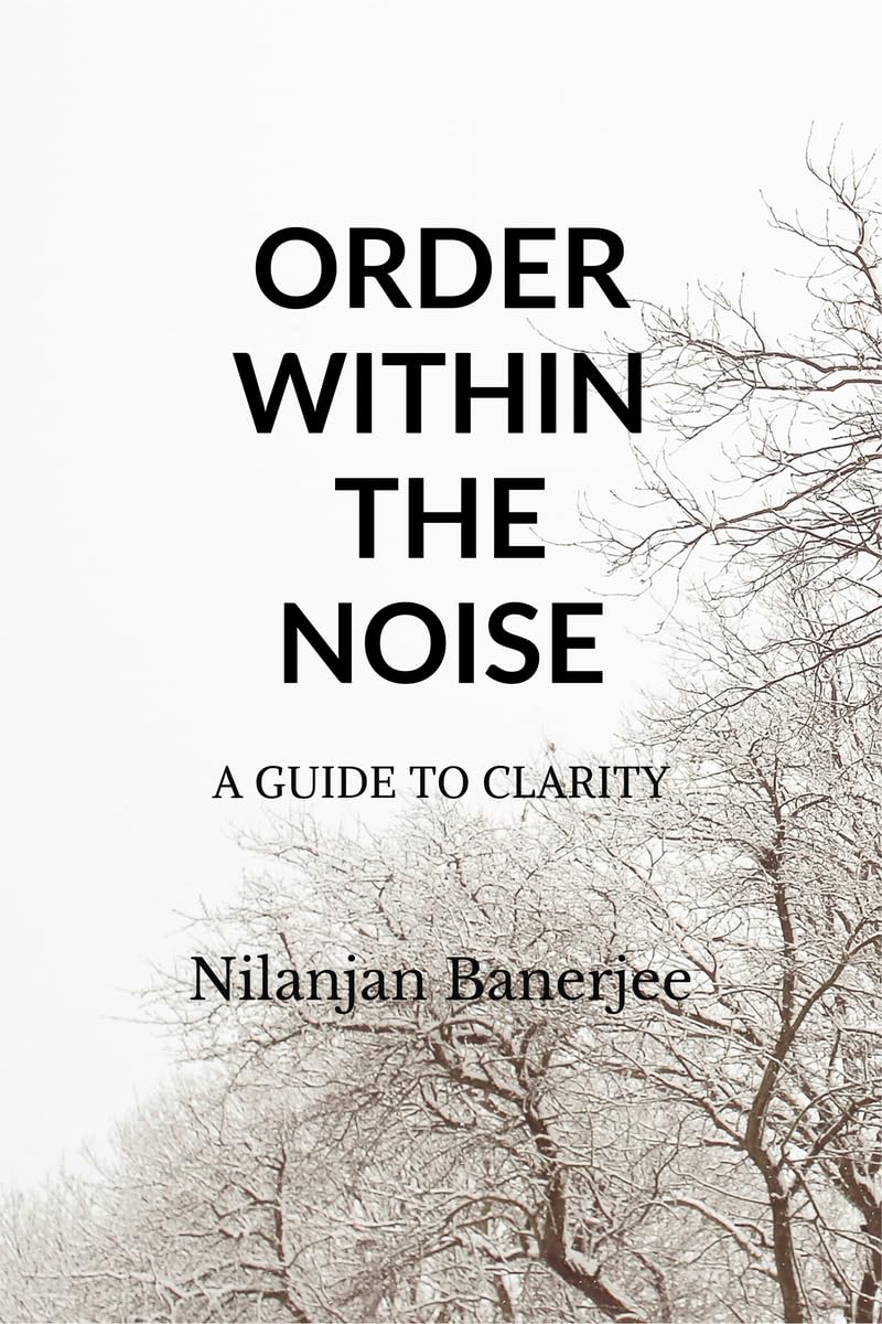 ORDER WITHIN THE NOISE: A GUIDE TO CLARITY