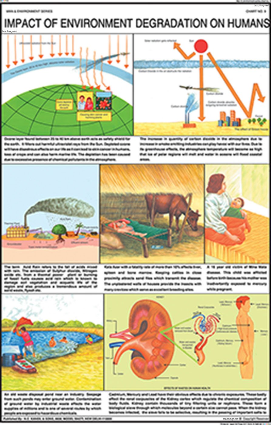 Me09 | Impact Of Environment Degradation On Humans Chart (50X75Cm) [Wall Chart] Teachingnest