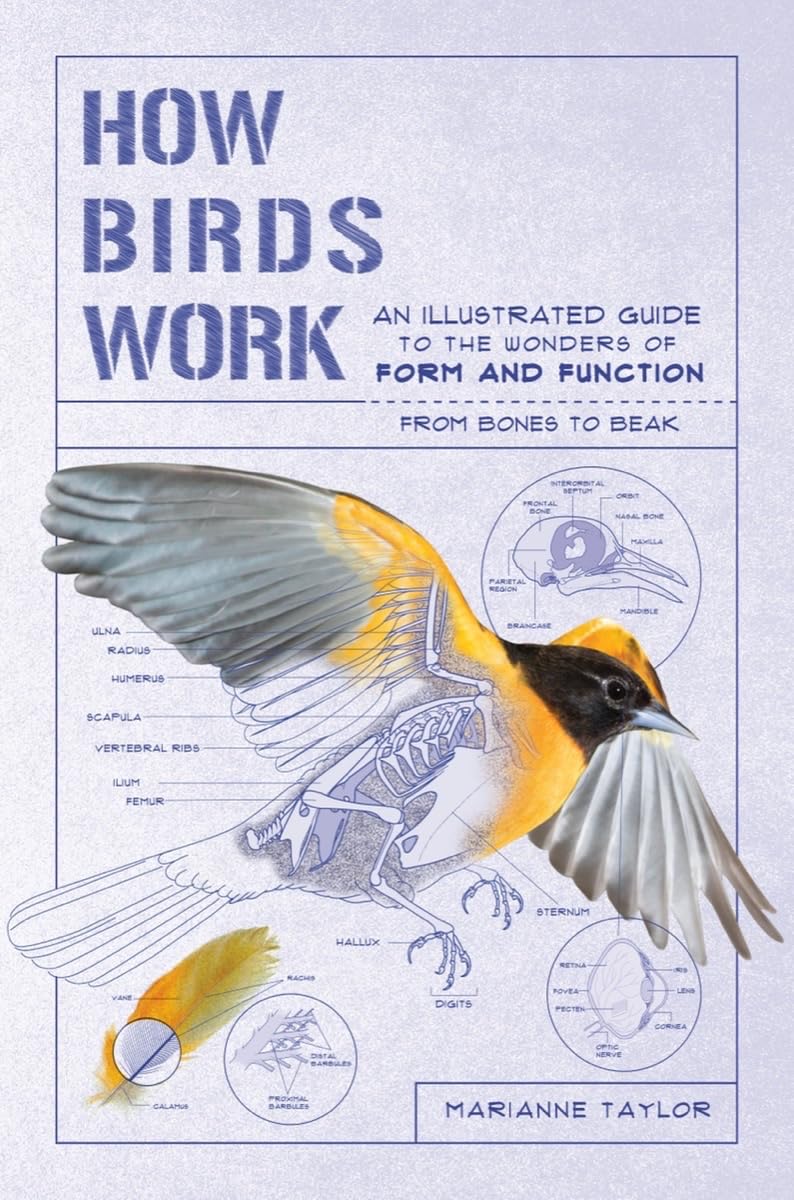 How Birds Work: An Illustrated Guide to the Wonders of Form and Functionfrom Bones to Beak (How Nature Works)