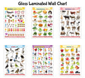 Alphabet, Fruits, Vegetables, Animals, Birds and Numbers Gloss Laminated charts : Learning chart for kids, Educational wall pos