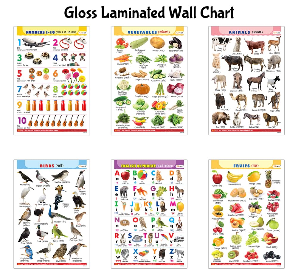 Alphabet, Fruits, Vegetables, Animals, Birds and Numbers Gloss Laminated charts : Learning chart for kids, Educational wall pos