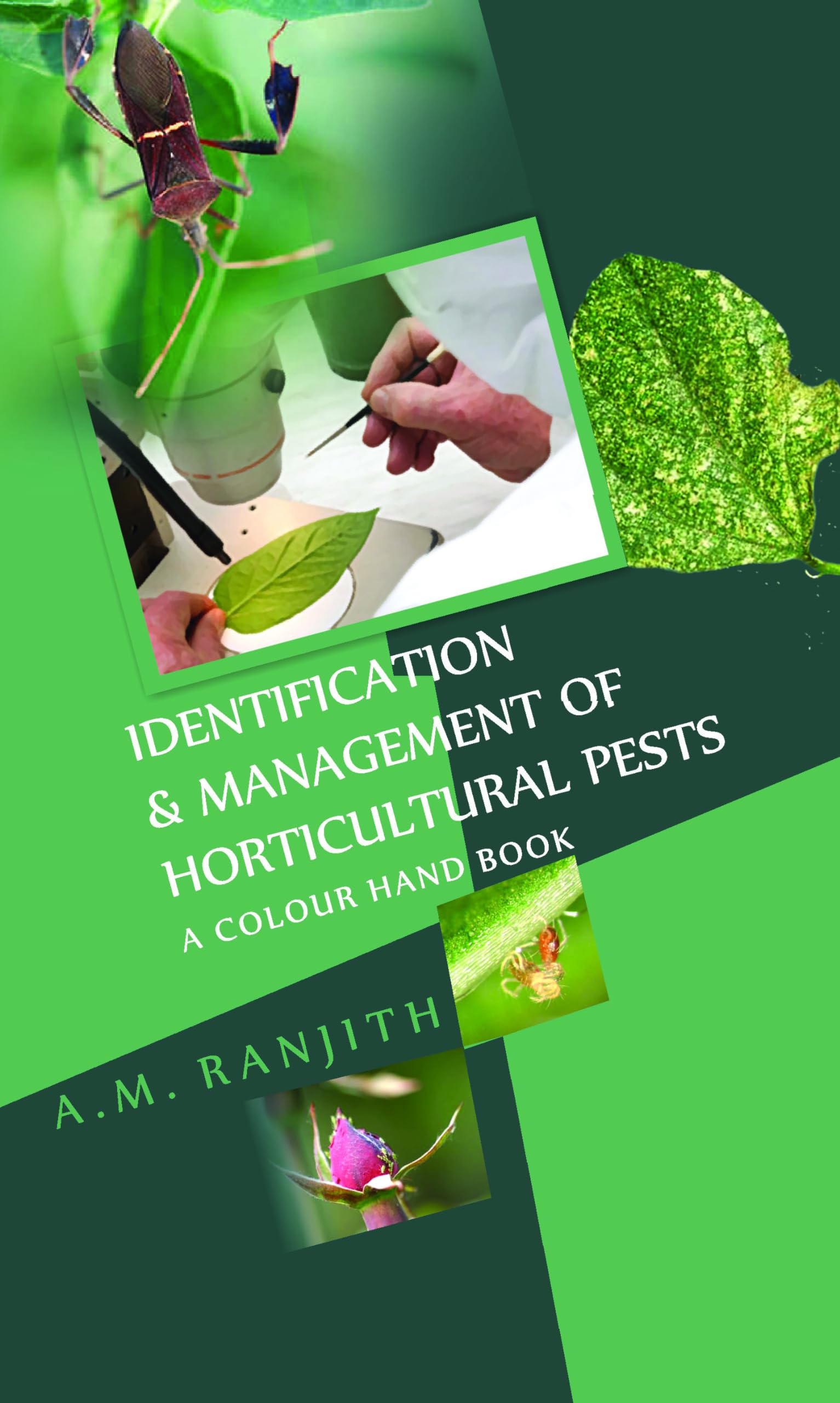 Identification And Management Of Horticultural Pests