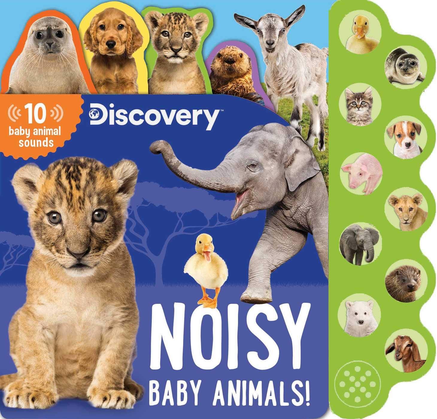 Discovery: Noisy Baby Animals! (10Button Sound Books)