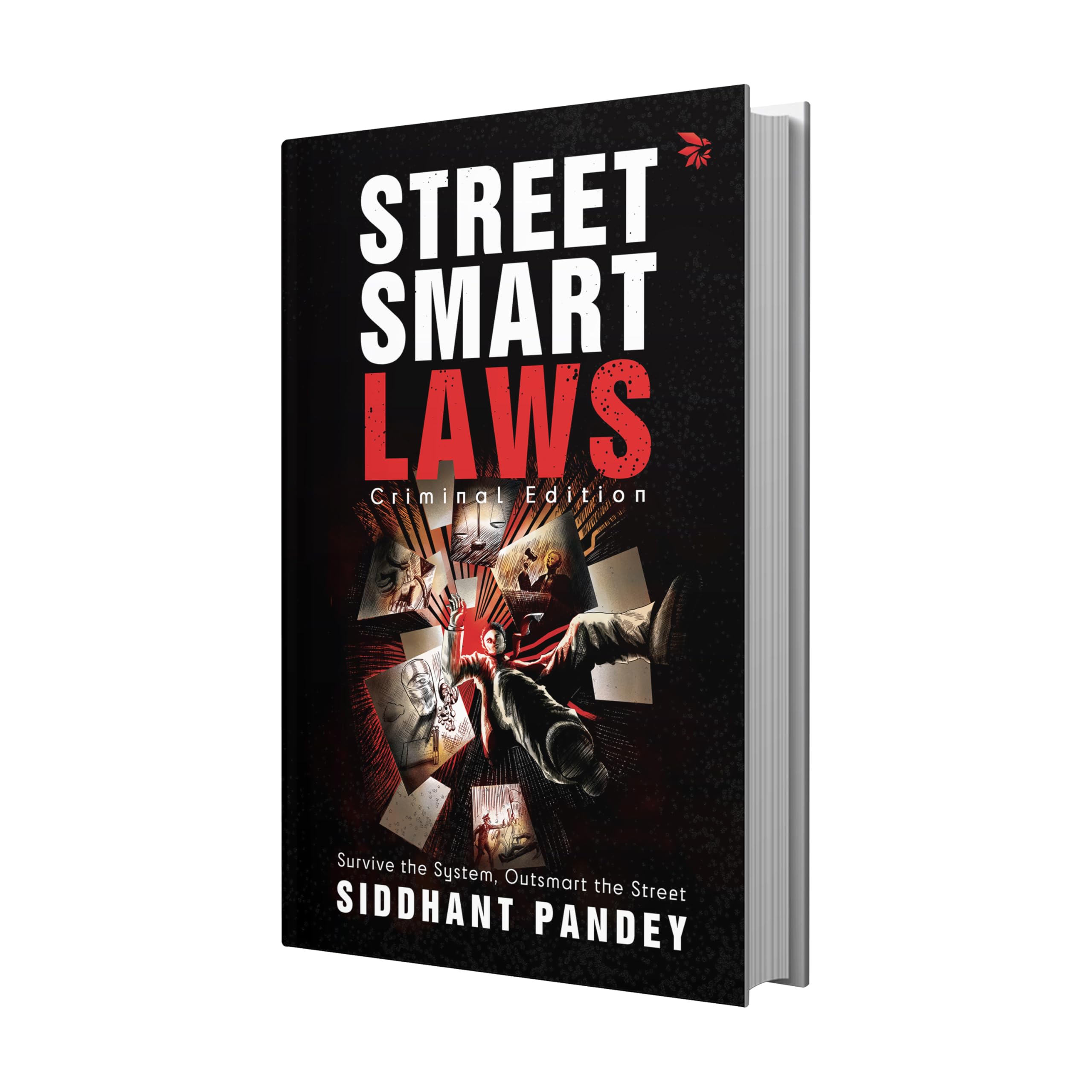 Street Smart Laws: Criminal Edition(Survive the System, Outsmart the Street)