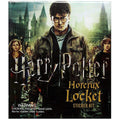 Harry Potter Locket Horcrux Kit and Sticker Book (Mega Mini Kits)