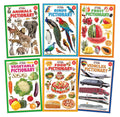 Jumbo Pictionary Pack  Set Of 6 Books For Kids: Animals, Birds, Fruits, Food, Vegetables & Vehicles  Bright Pictures, Fun Lear