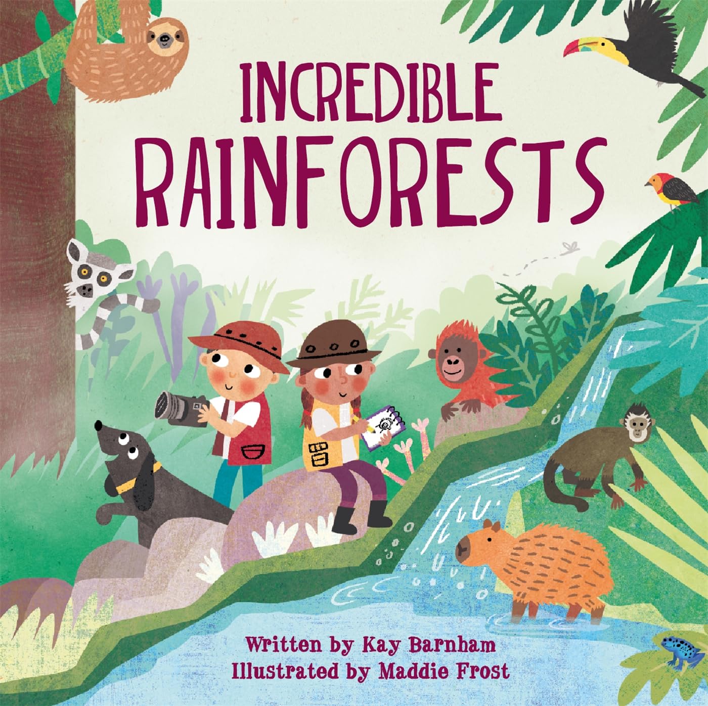LOOK AND WONDER: INCREDIBLE RAINFORESTS
