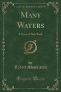 Many Waters: A Story of New York (Classic Reprint)