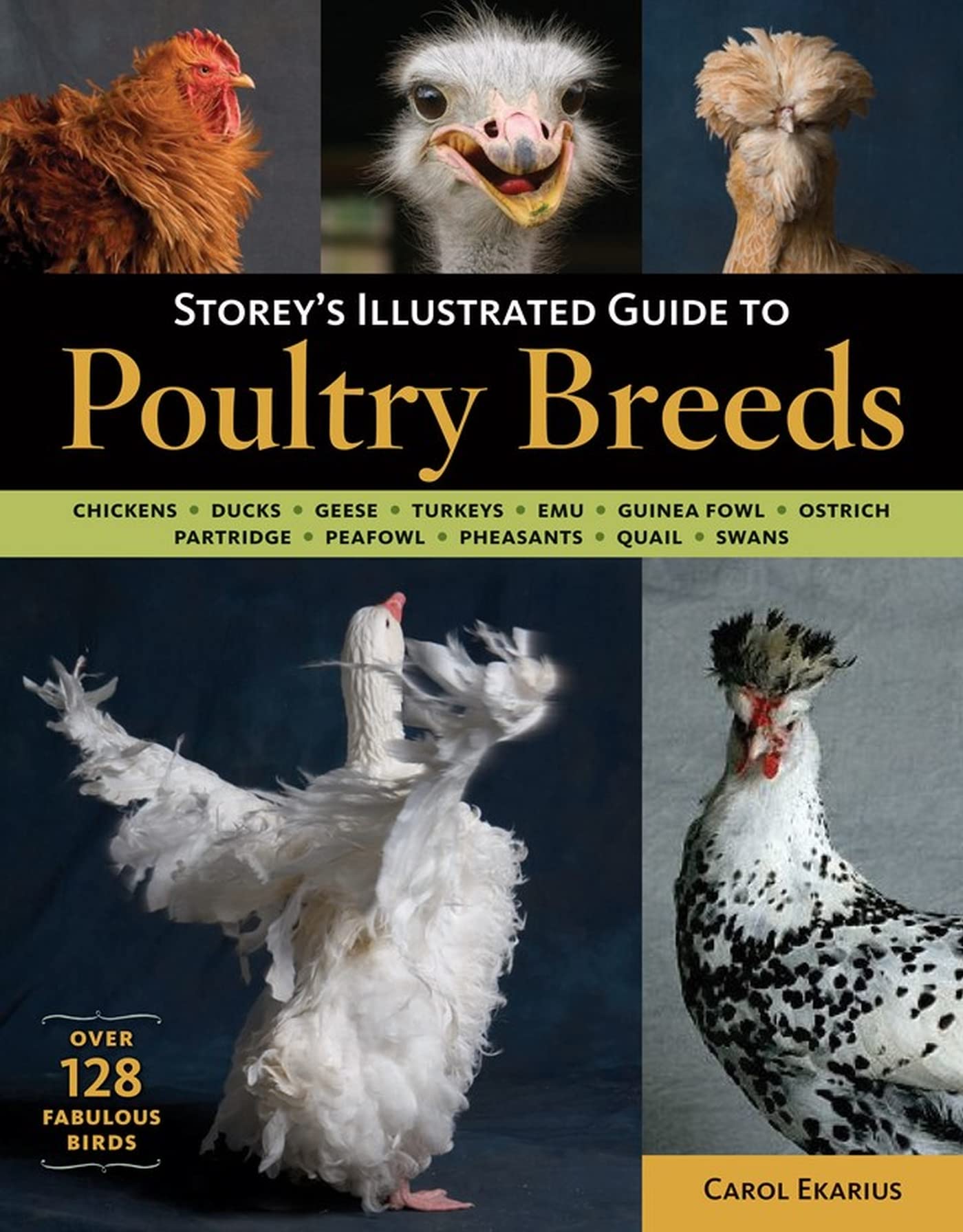 Storeys Illustrated Guide to Poultry Breeds: Chickens, Ducks, Geese, Turkeys, Emus, Guinea Fowl, Ostriches, Partridges, Peafowl