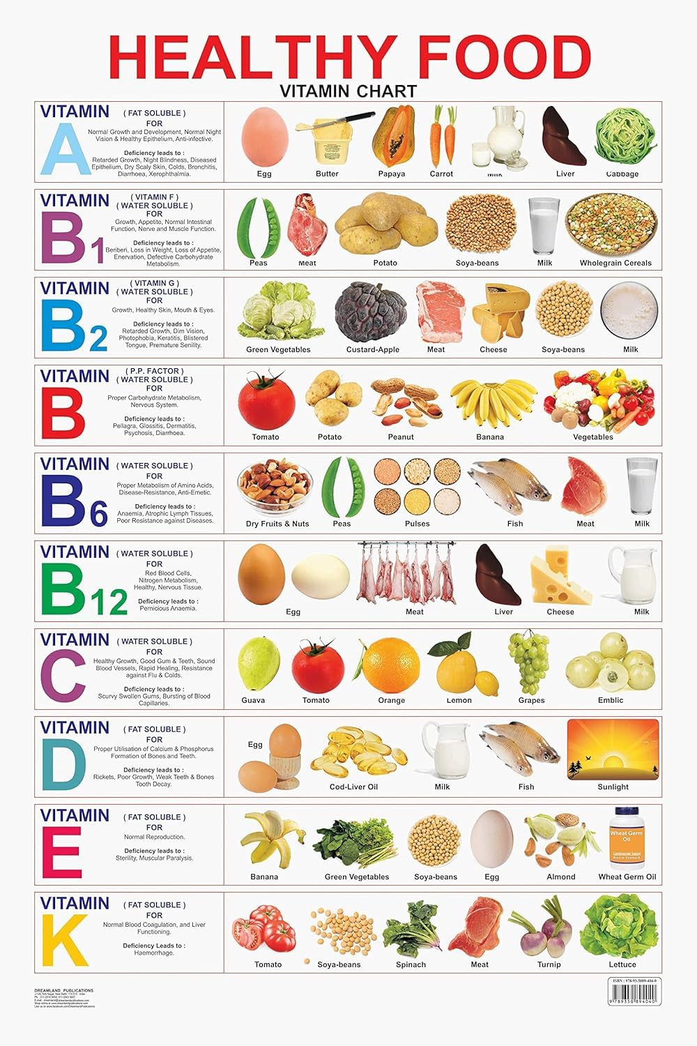 Healthy Food (Vitamin Chart) Educational Wall Chart For Kids  DoubleSided Hard Laminated Poster With Colourful Illustrations, L