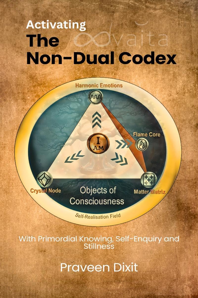 Activating the NonDual Codex: With Primordial Knowing, SelfEnquiry and Stillness