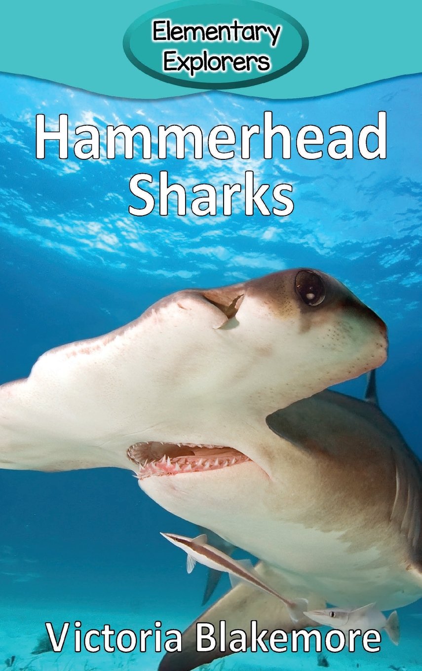 Hammerhead Sharks (Elementary Explorers)