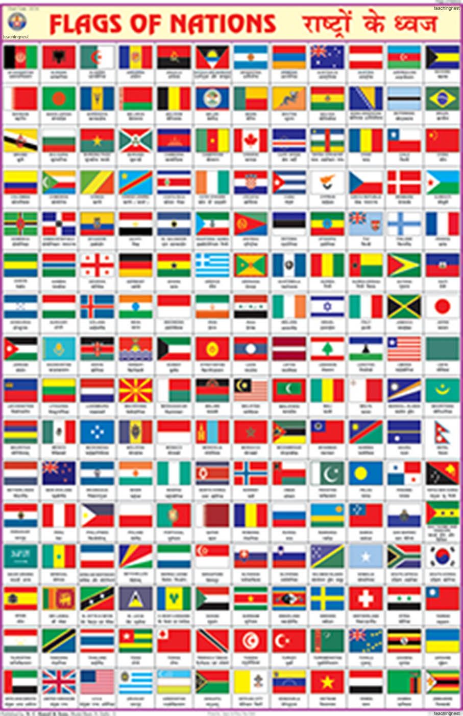 Cc14 | Teachingnest | Flags Of Nations Chart (50X75Cm) | Charts For Children | With Rollers | English  Hindi Combined [Wall Cha