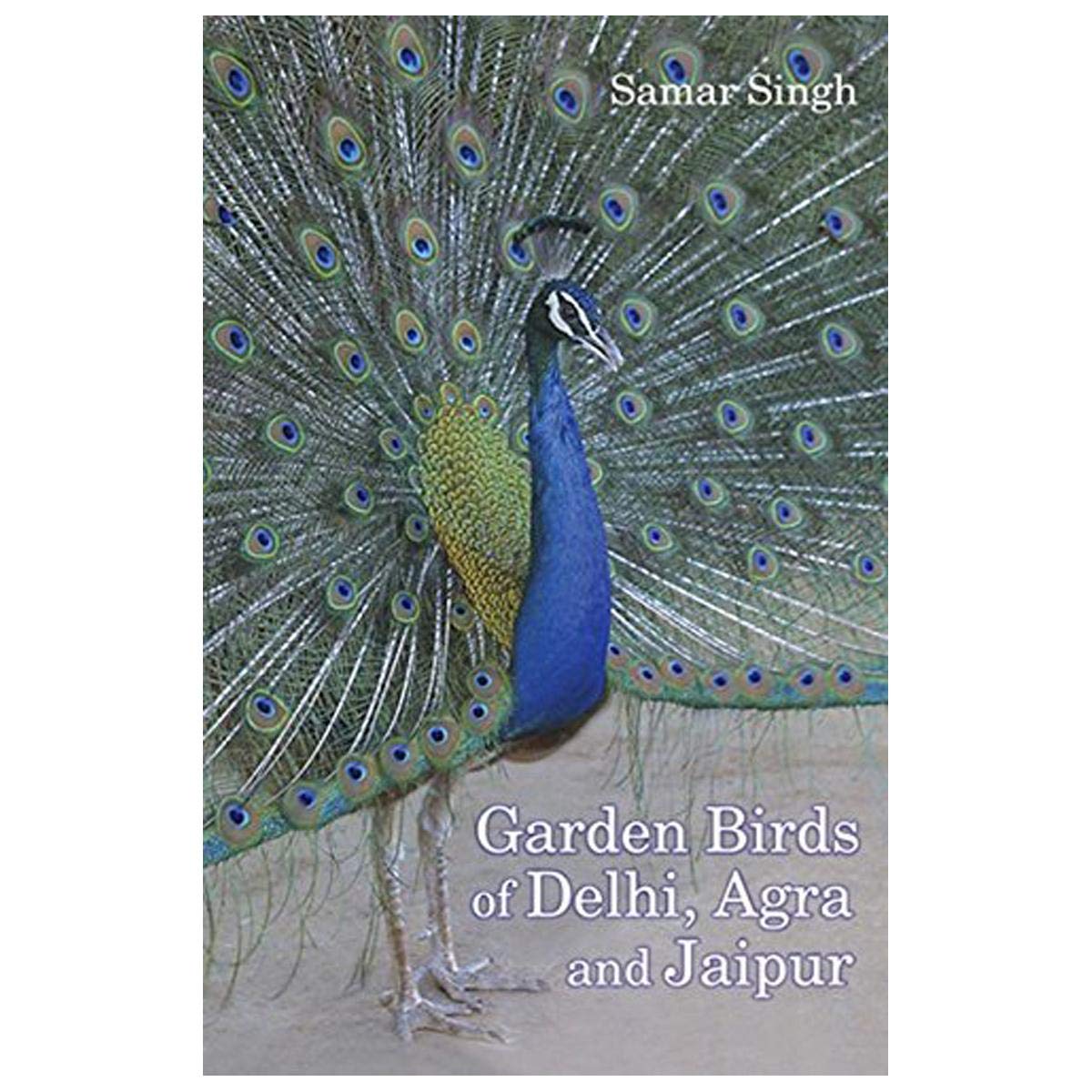 Garden Birds Of Delhi, Agra & Jaipur