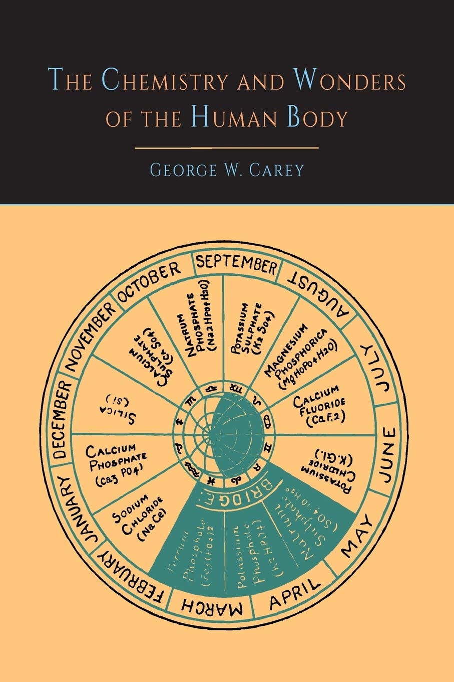The Chemistry And Wonders Of The Human Body