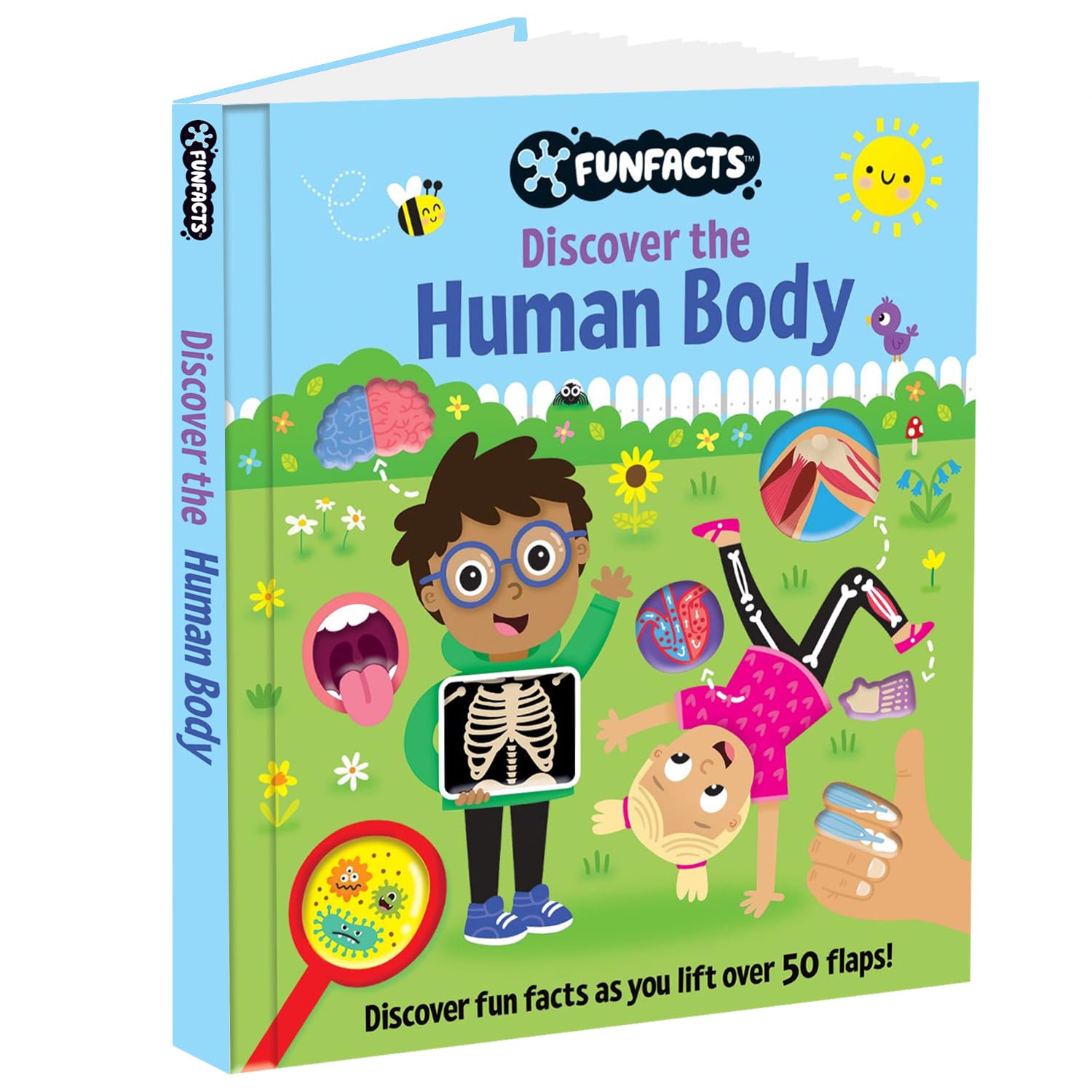 FunFacts  Lift the Flap Board Book  Discover the Human Body Educational Board Book | Early Learning | Human Body Book for Kids