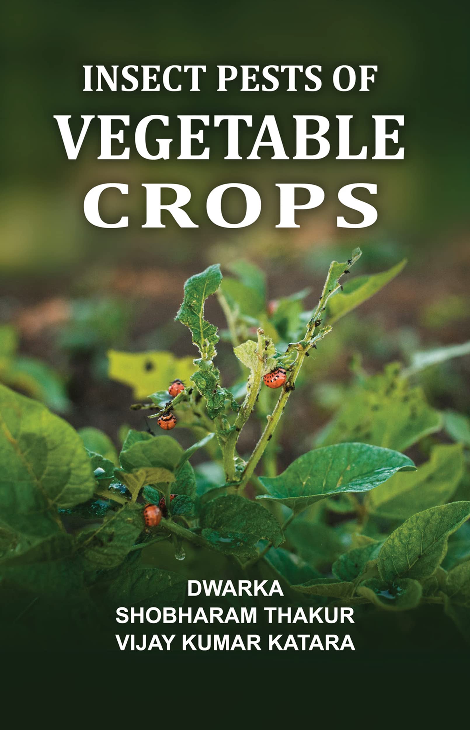 Insect Pests of Vegetable Crops