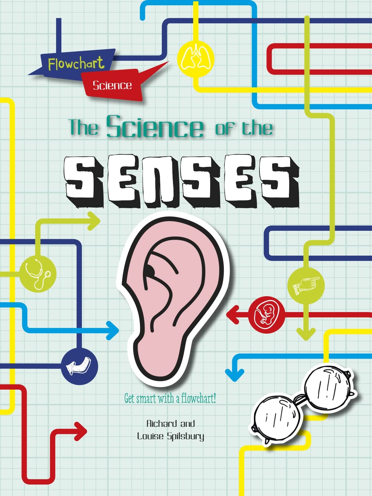 The Senses (Flowchart Science: The Human Body)