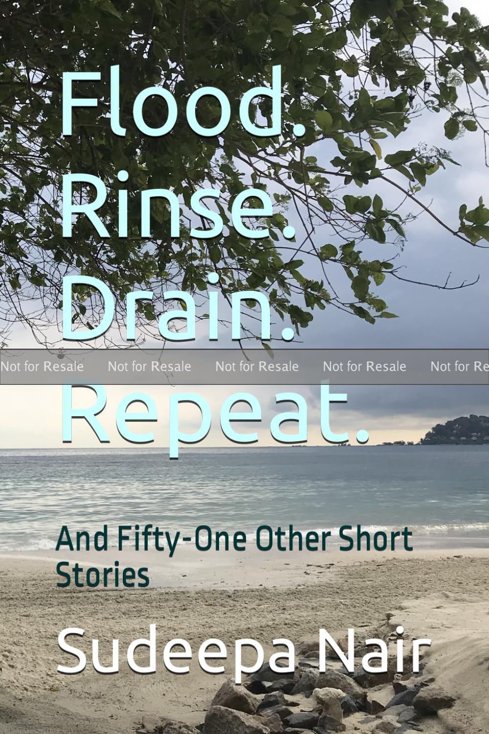 Flood. Rinse. Drain. Repeat. : And FiftyOne Other Short Stories