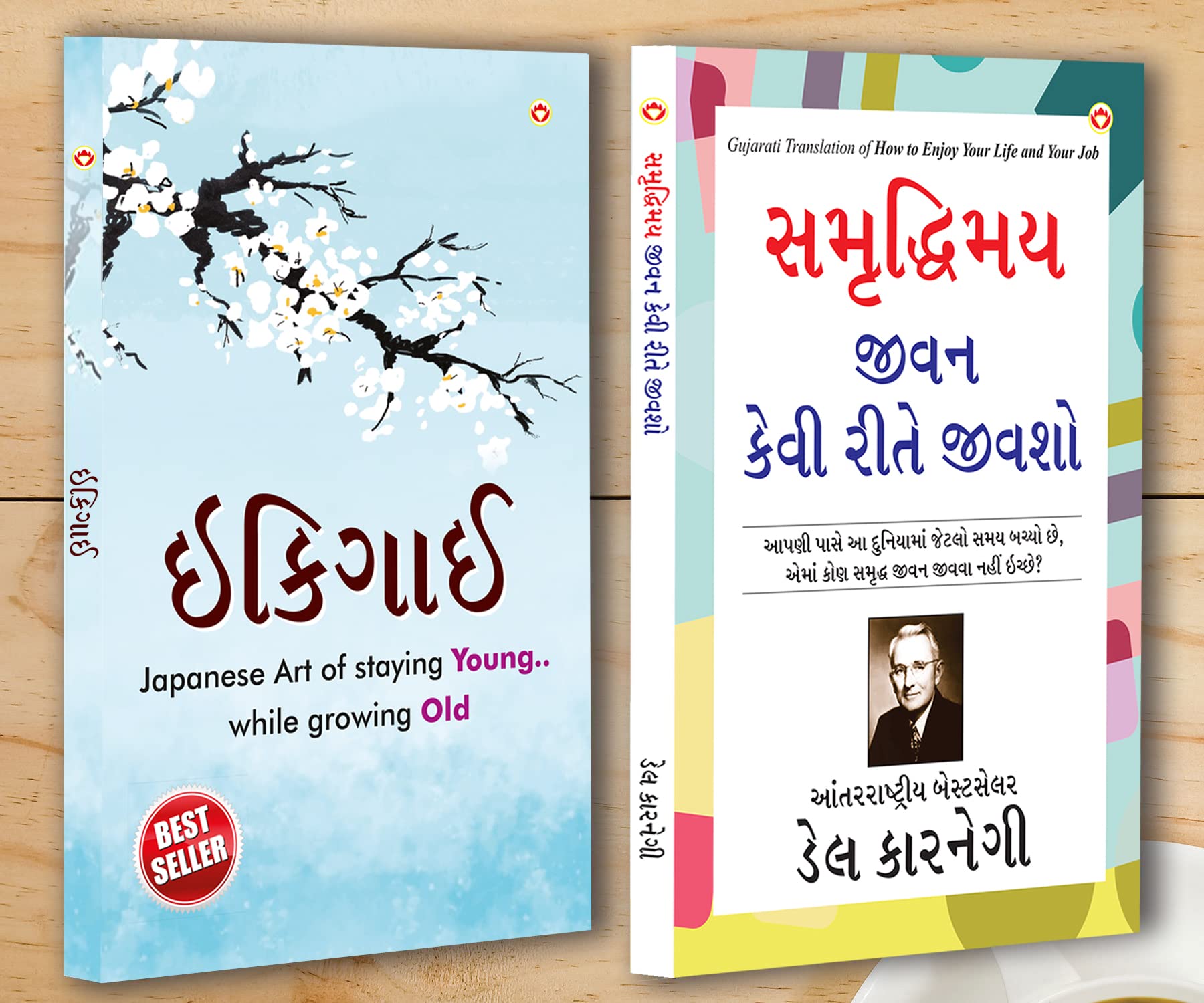 Best Inspirational Books in Gujarati  Ikigai + How to Enjoy Your Life and Your Job