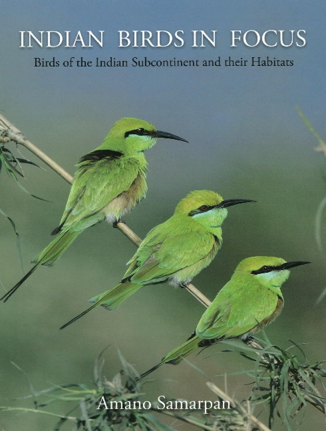 Indian Birds in Focus (English, Hardcover, Sa
