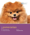 Pomeranian  Dog Expert