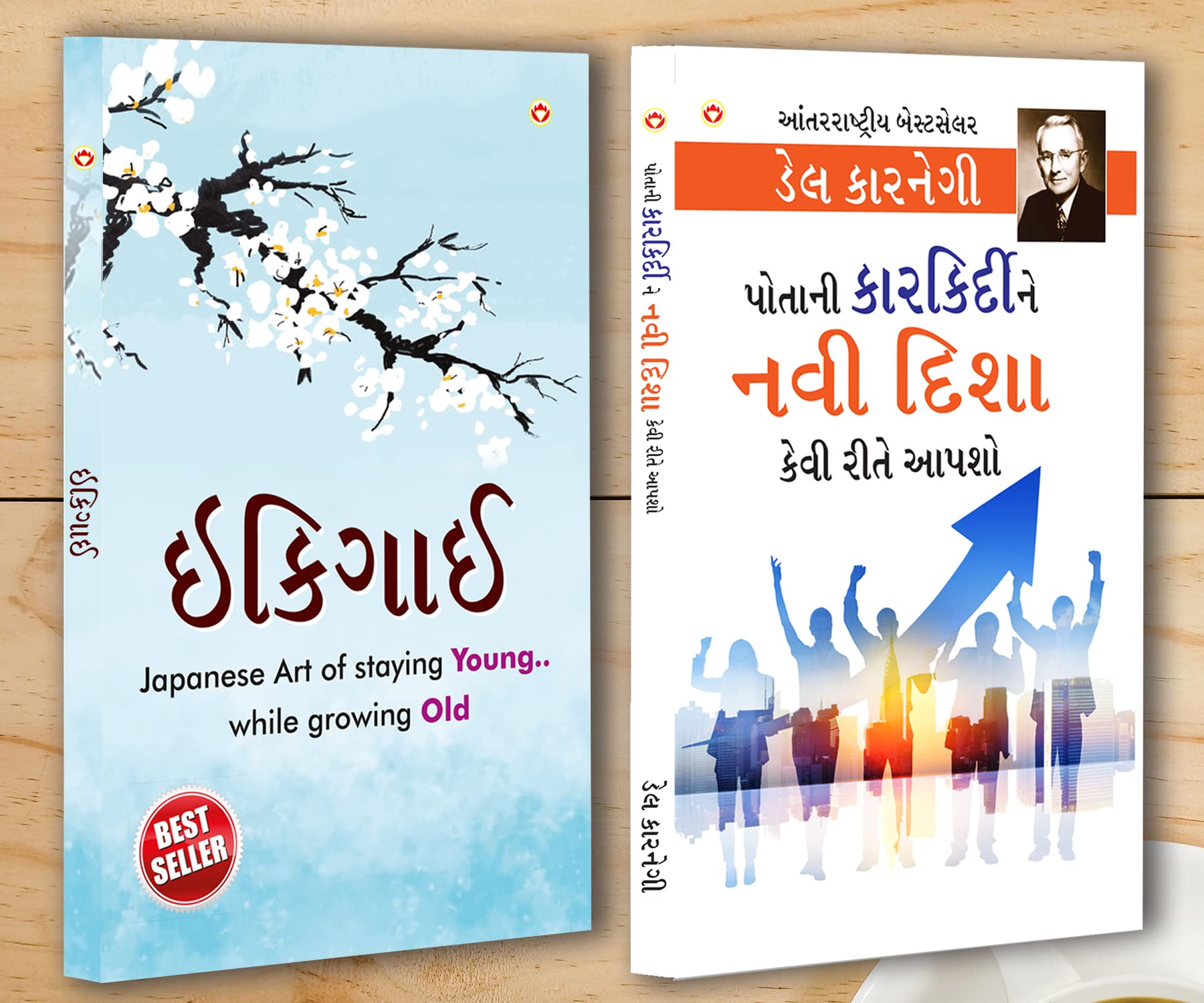 Best Motivational Books in Gujarati  Ikigai + Apne Career Ko Nai Disha Kaise Den