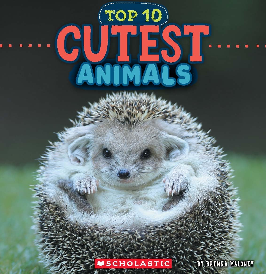 Cutest Animals (Wild World: Top 10)