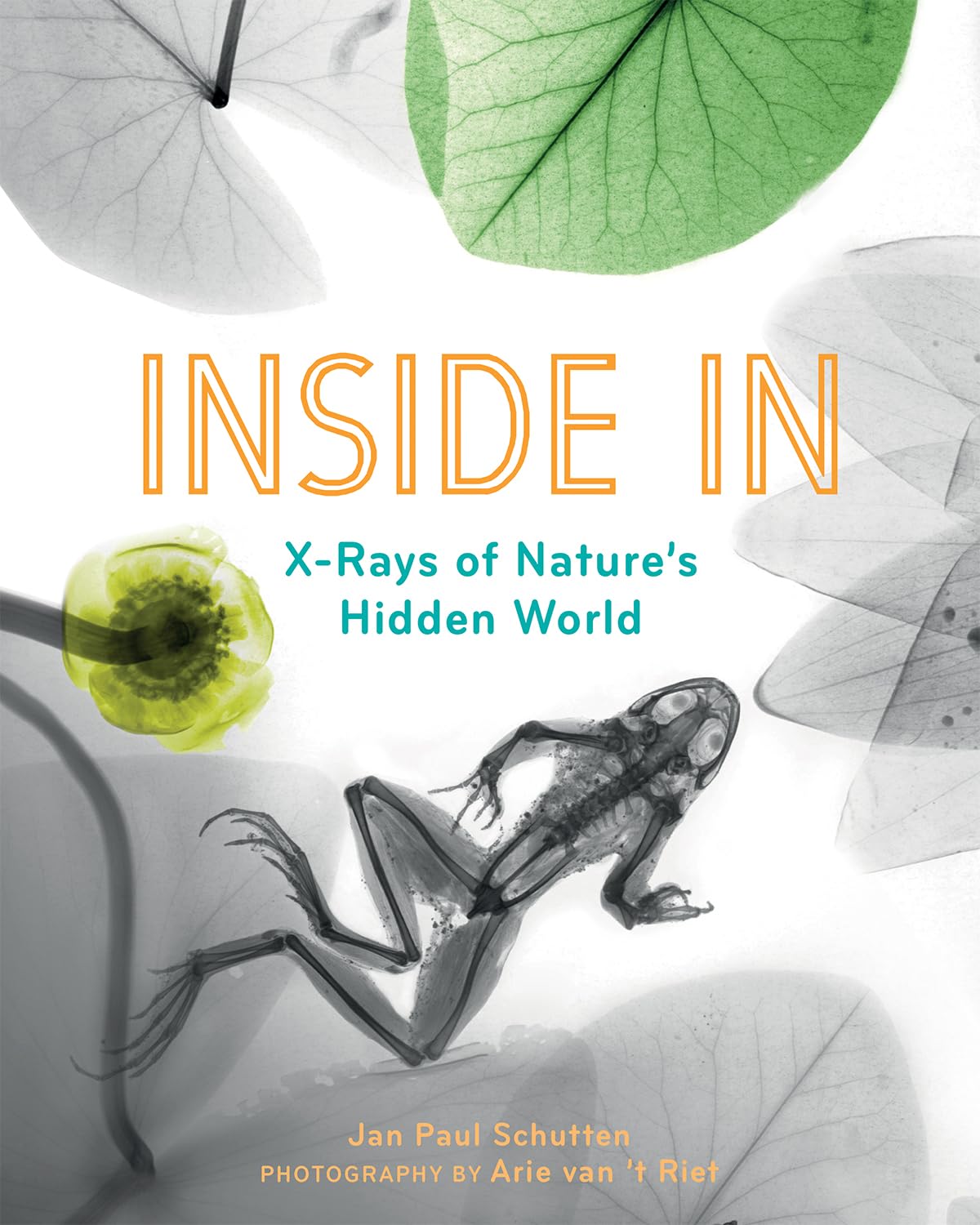 Inside In: XRays of Natures Hidden World