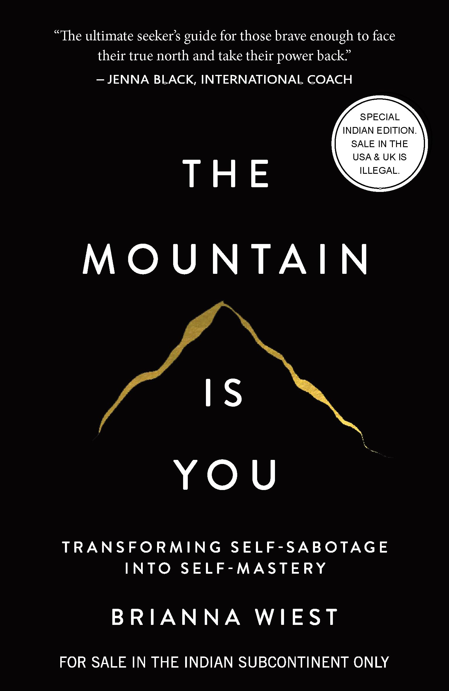 The Mountain Is You: Transforming SelfSabotage Into SelfMastery