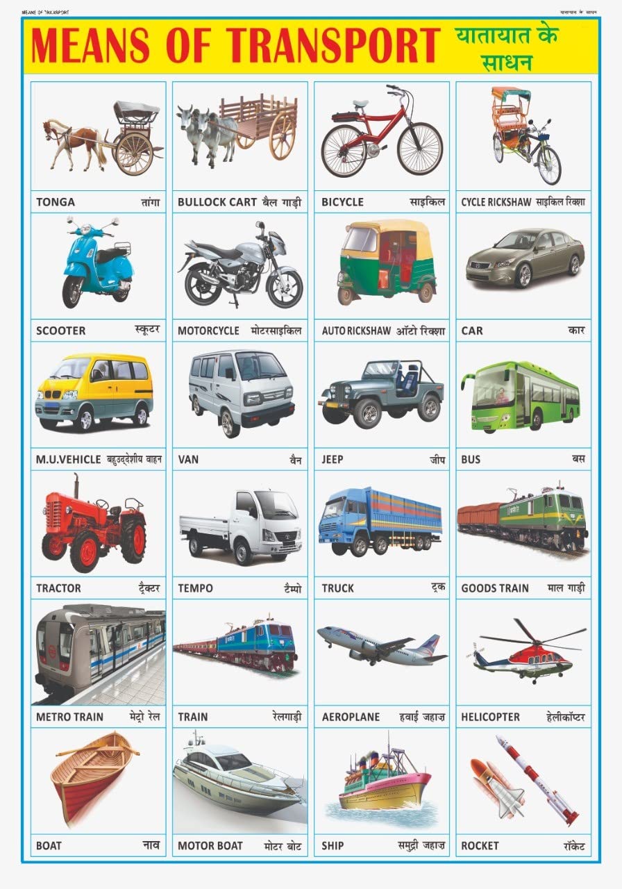 Vehicles Chart For Kids | 70X100 Cm (Extra Large Size To Attract Kids) | NonTearable And Waterproof | Perfect For Homeschooling