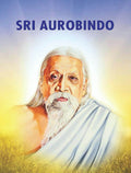 Maharshi Aurbindo