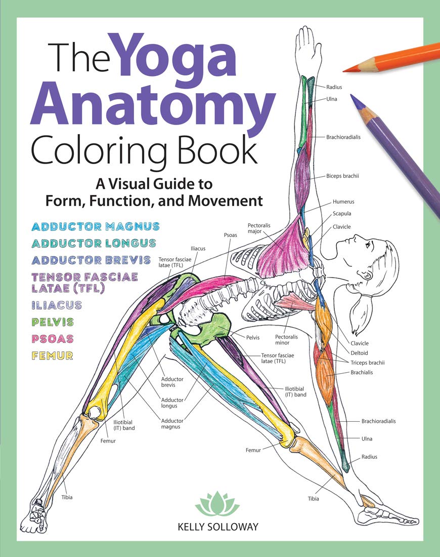 Yoga Anatomy Coloring Book: A Visual Guide to Form, Function, and Movement  An Educational Anatomy Coloring Book for Medical St