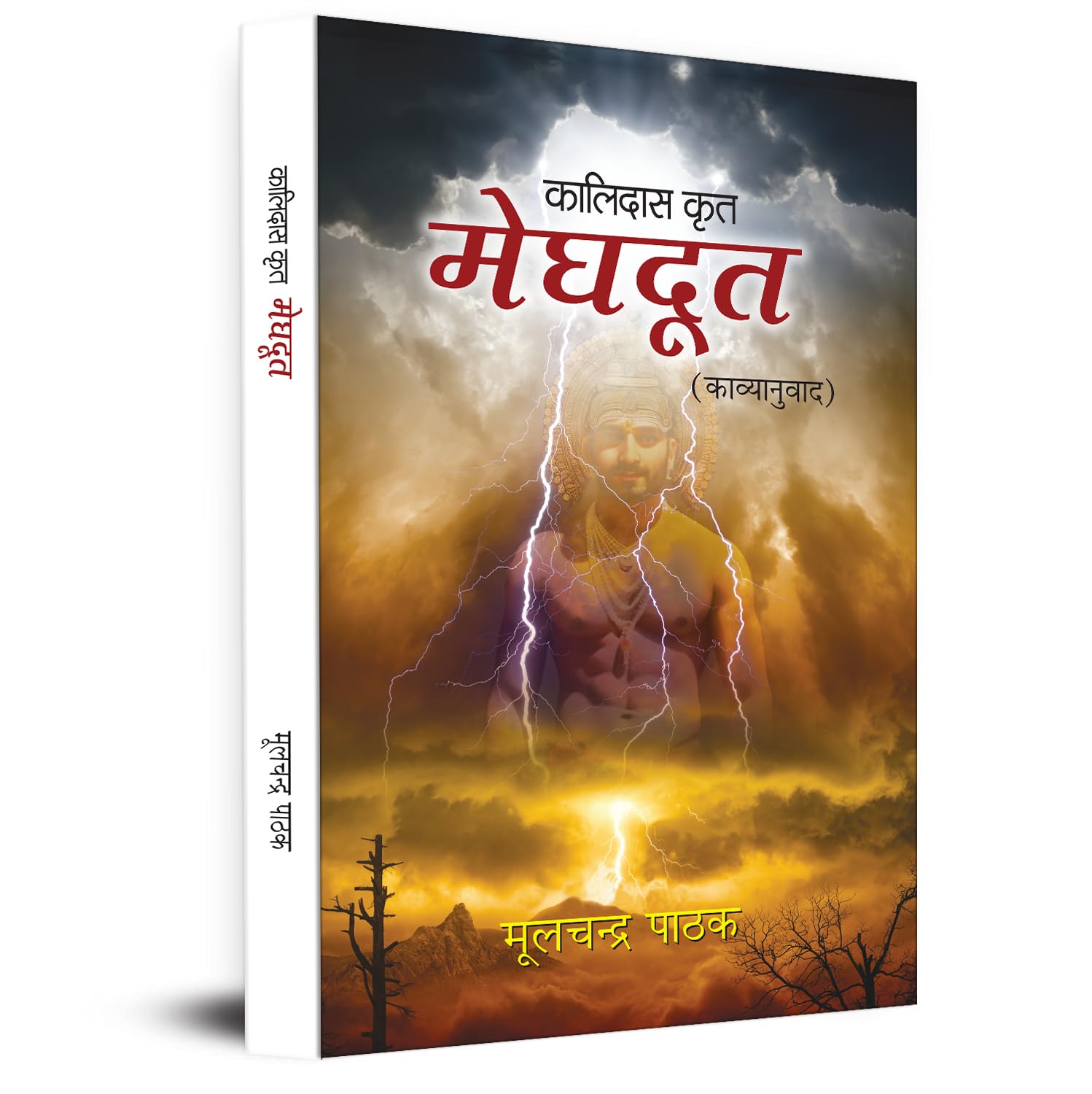 Meghdoot (Kalidas Krit Poetry Book) (Hindi Edition)