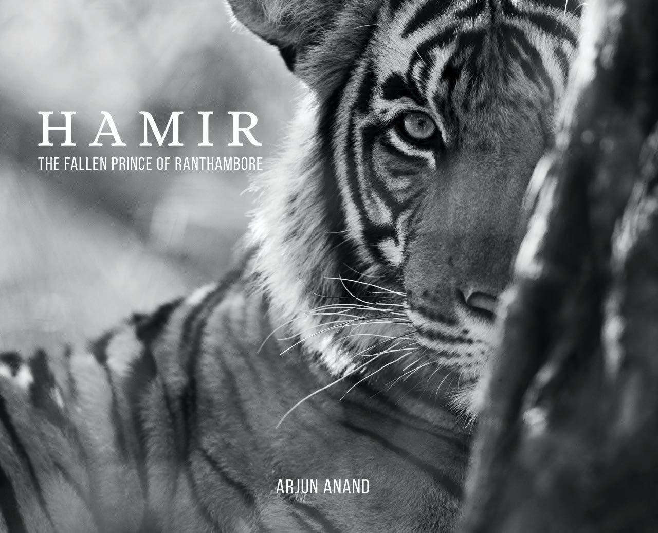 Hamir The Fallen Prince of Ranthambore HARDCOVER