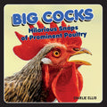 BIG COCKS  HILARIOUS SNAPS OF PROMINENT POULTRY