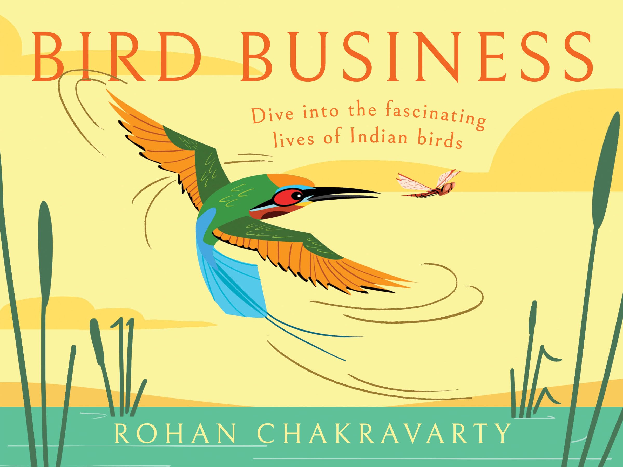 Bird Business