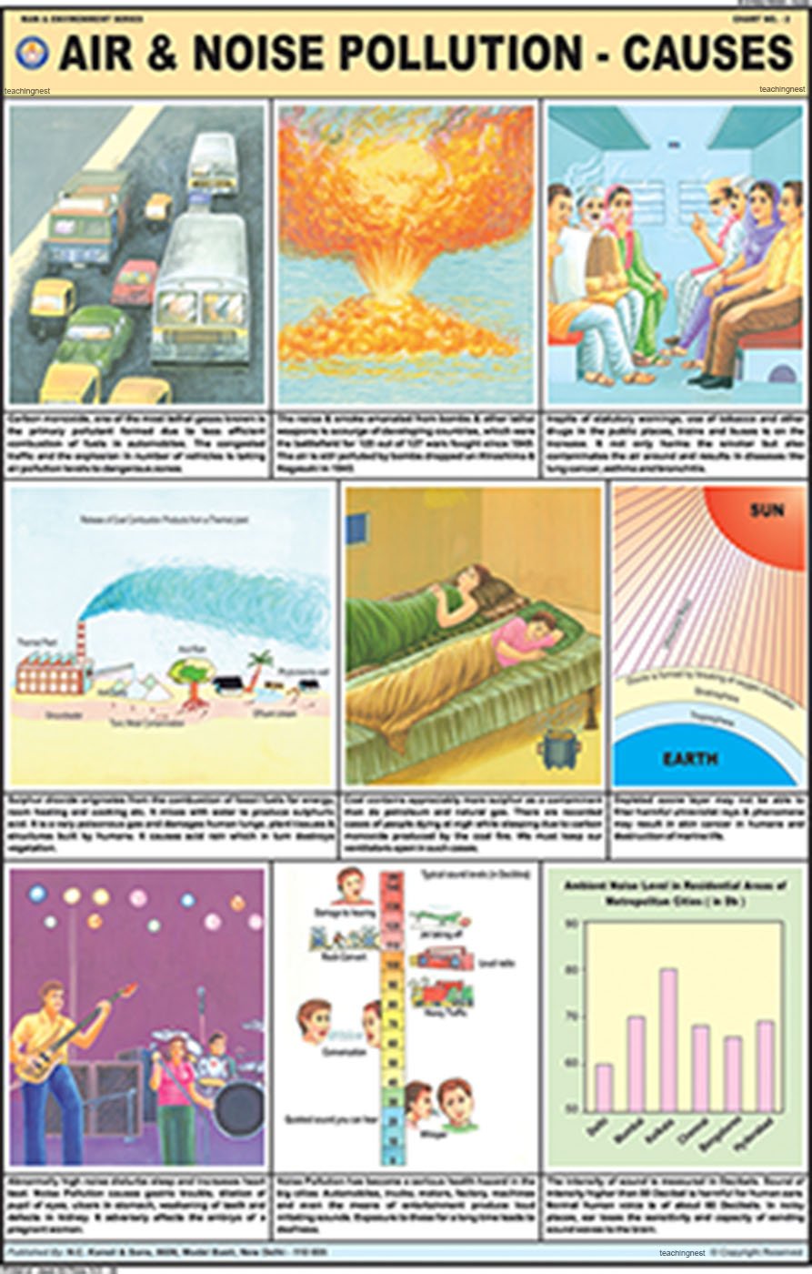 Me02 | Air & Noise Pollution (Causes) Chart (50X75Cm) [Wall Chart] Teachingnest