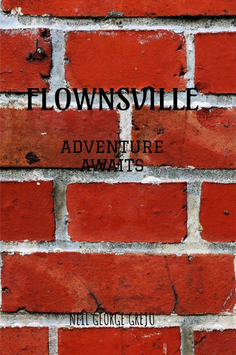 Flownsville : Adventure Awaits