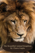 The Beautiful Animal Kingdom