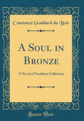 A Soul in Bronze: A Novel of Southern California (Classic Reprint)