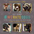 We rate dogs: The most adorable and hilarious pups youve ever seen
