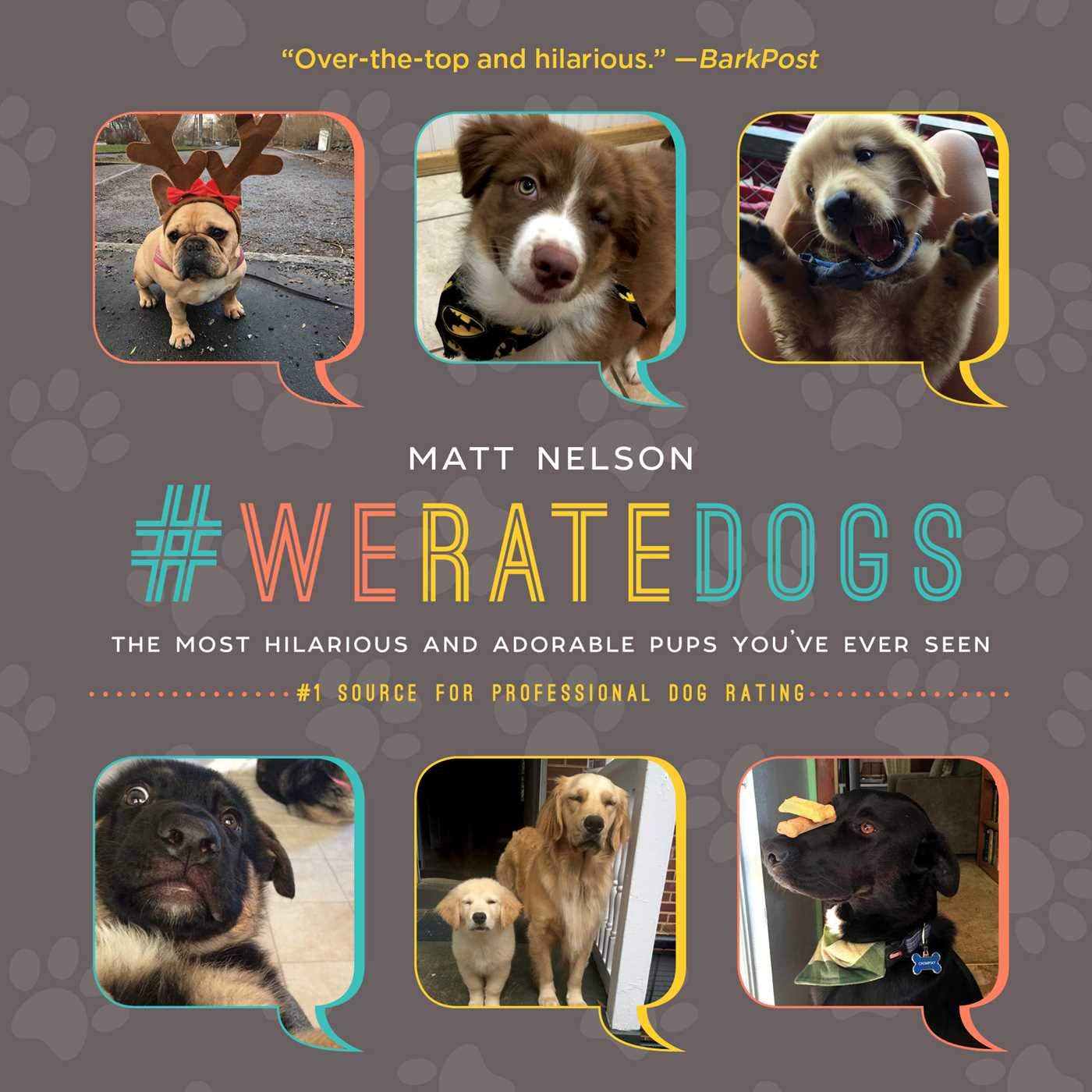 We rate dogs: The most adorable and hilarious pups youve ever seen