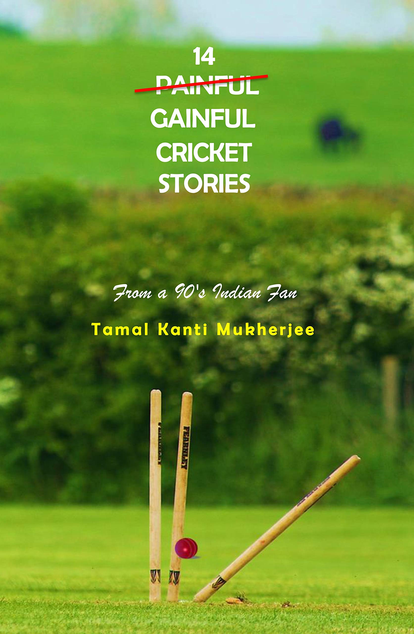 14 Gainful Cricket Stories