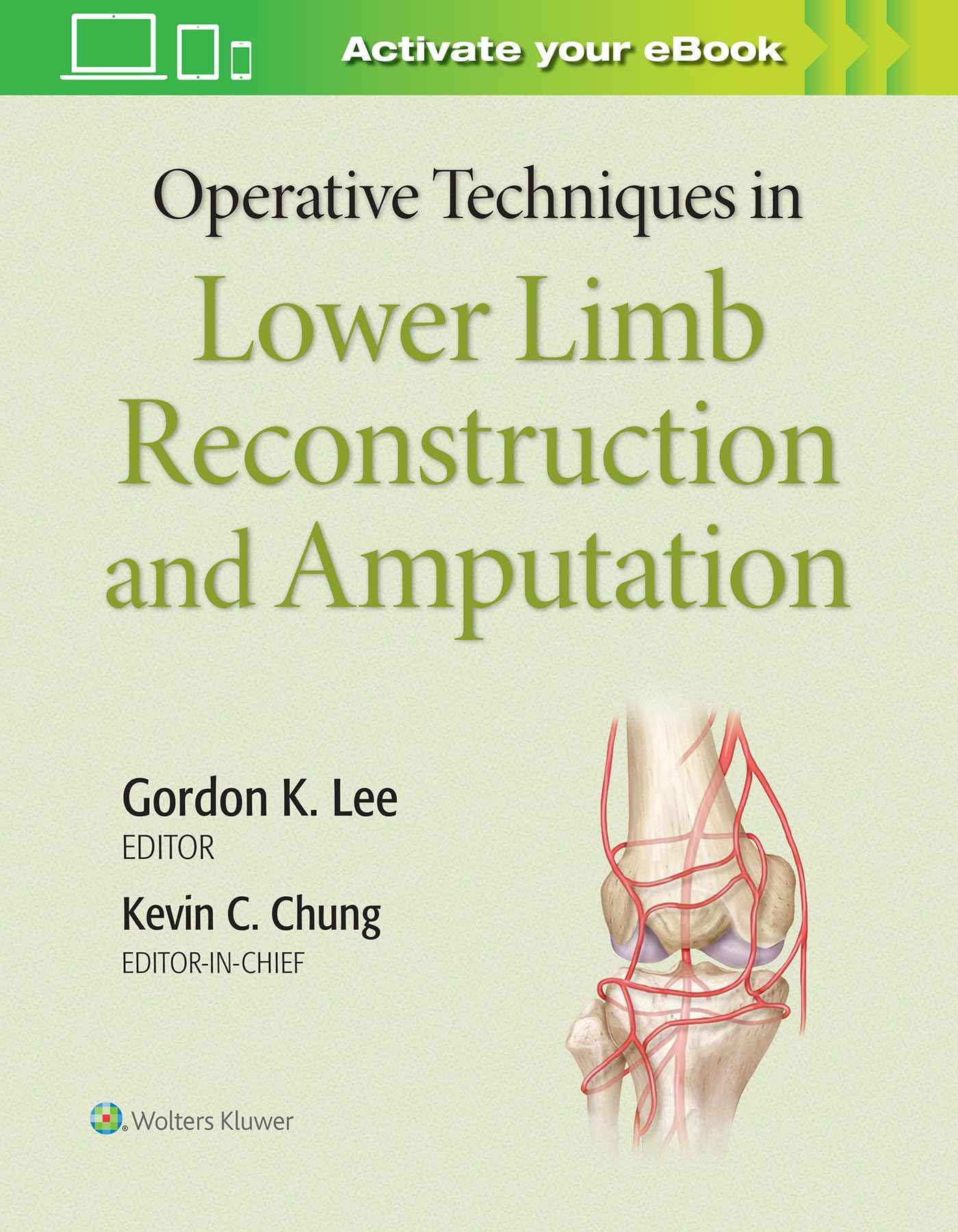 OPERATIVE TECHNIQUES IN LOWER LIMB RECONSTRUCTION AND AMPUTATION (HB 2020)