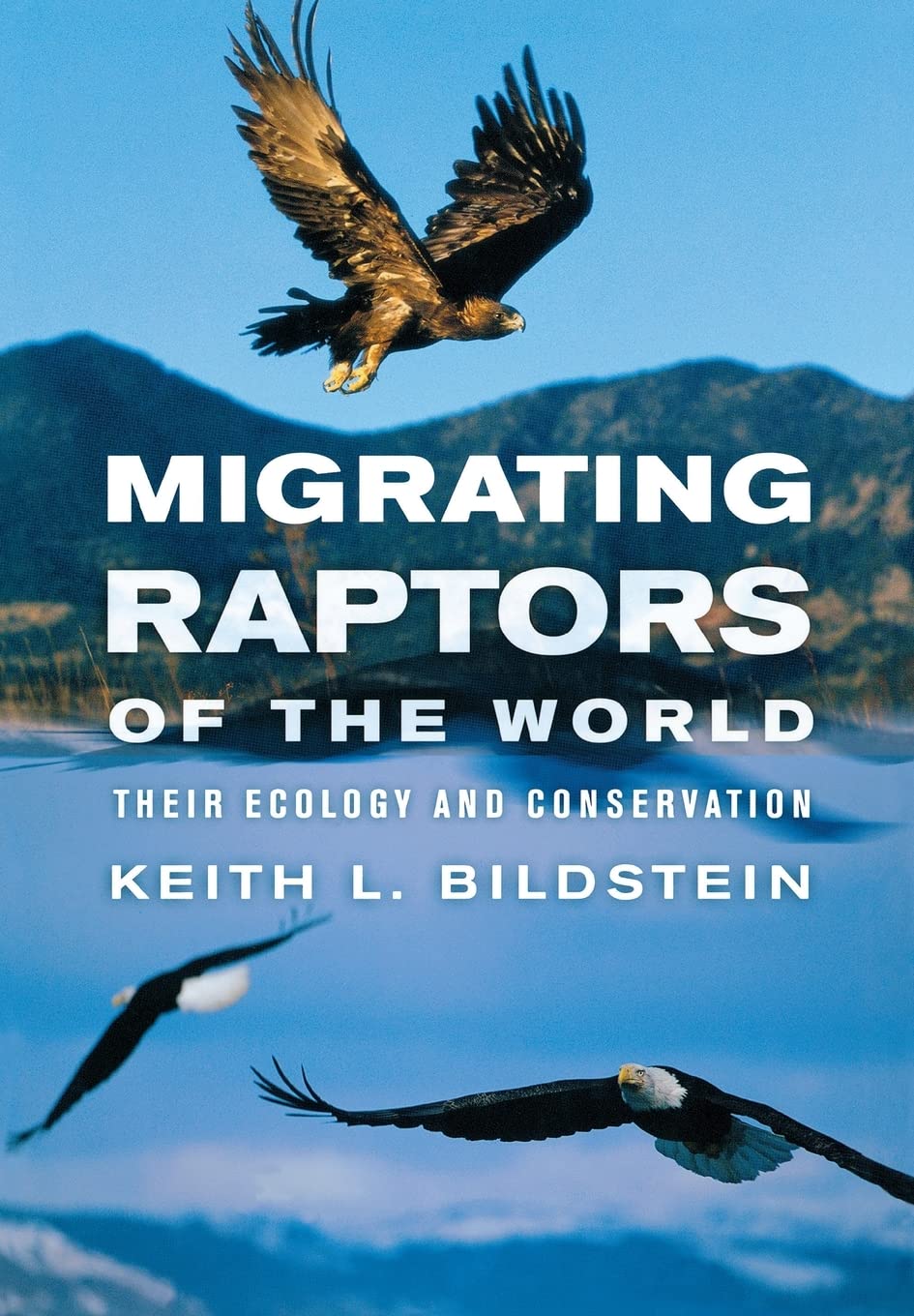 Migrating Raptors of the World: Their Ecology and Conservation